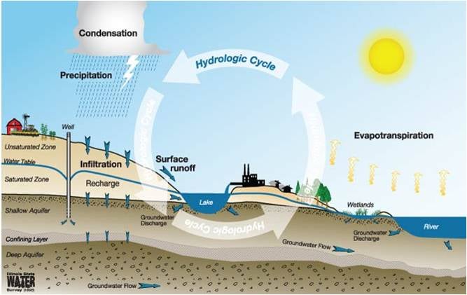 What is the hydrologic cycle?